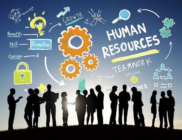 Human Resources (HR)